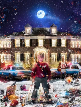 Don't F*ck Home Alone ORIGINAL by Mark Davies