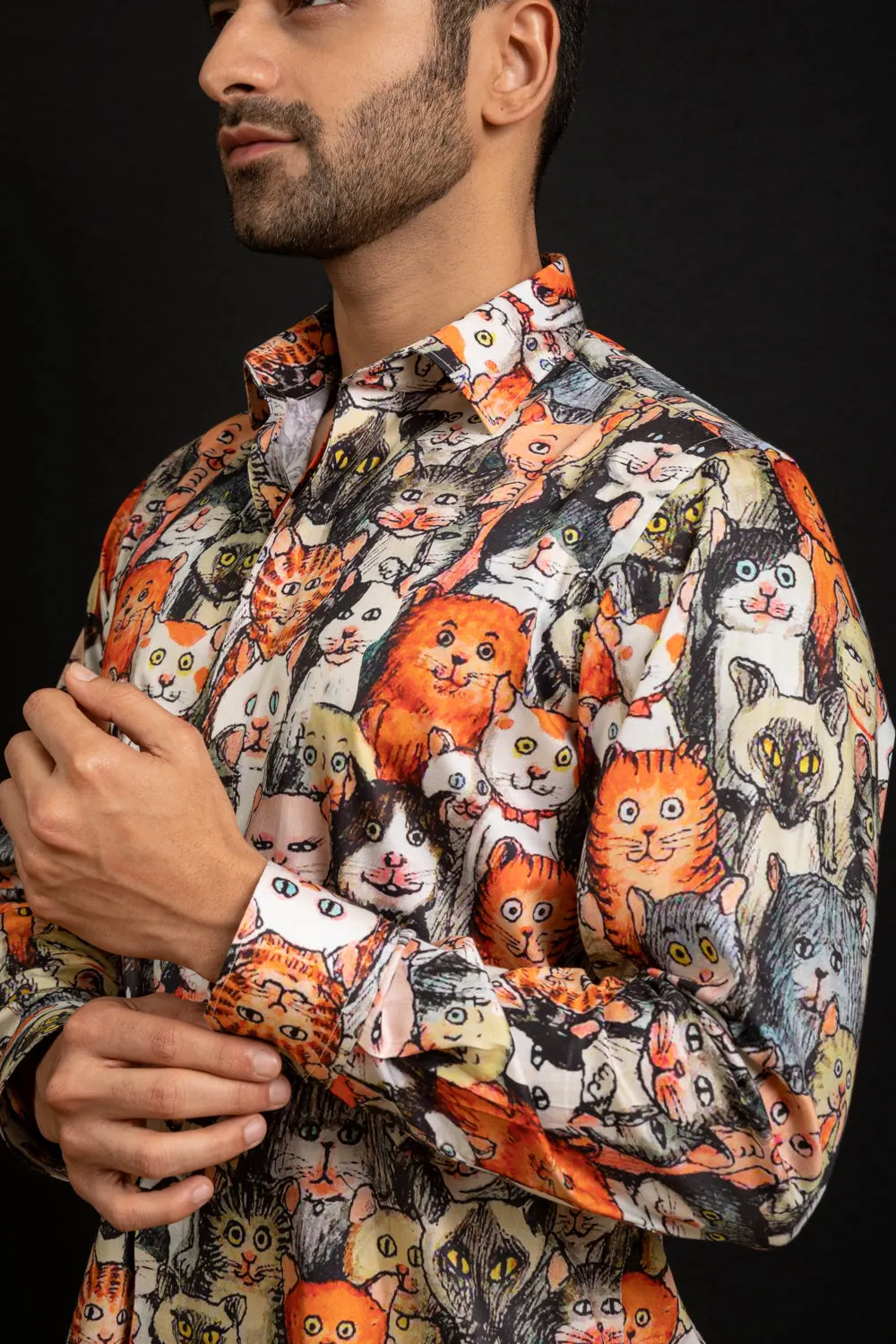 FELINE