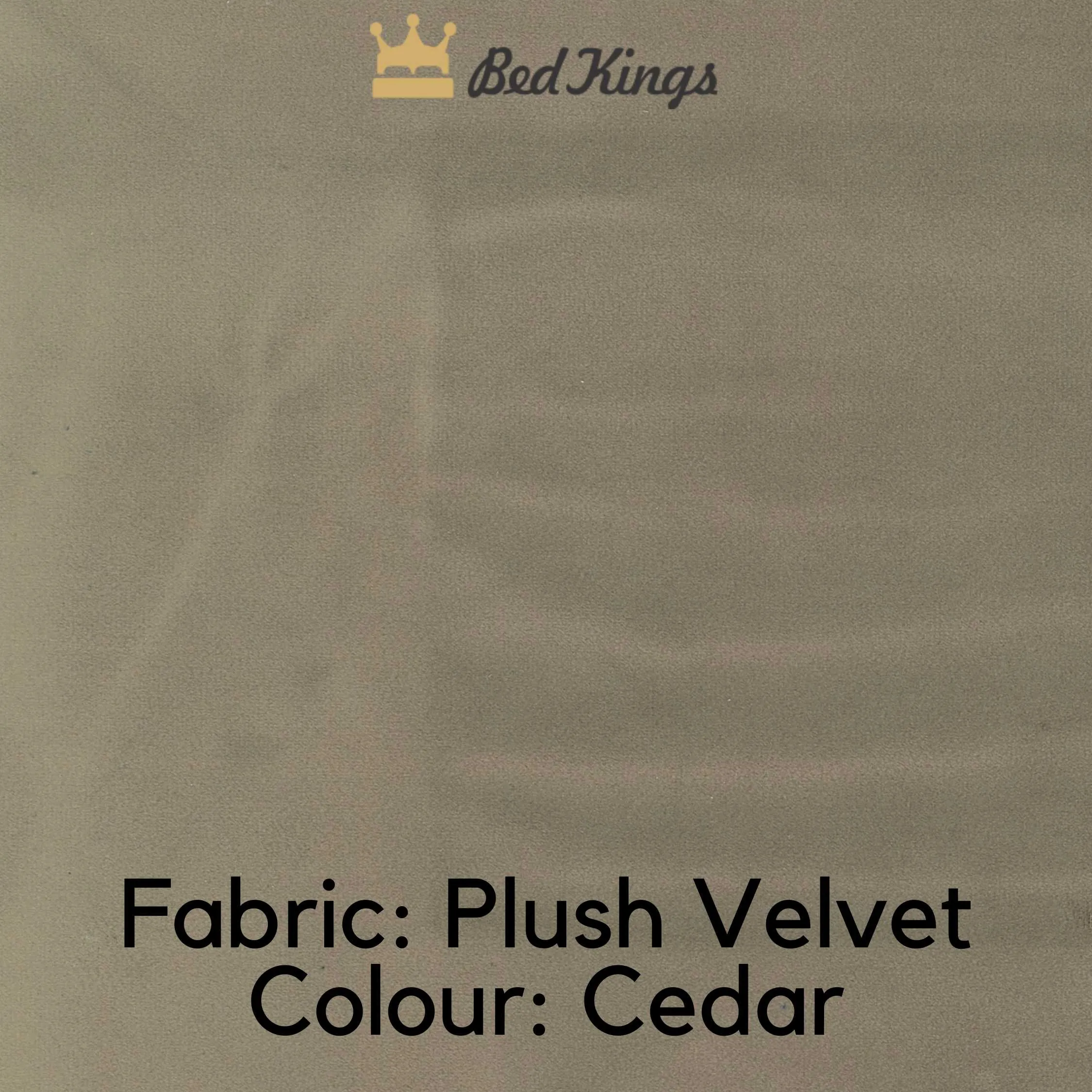 Luxury Guest Bed & Trundle With 2 Mattresses