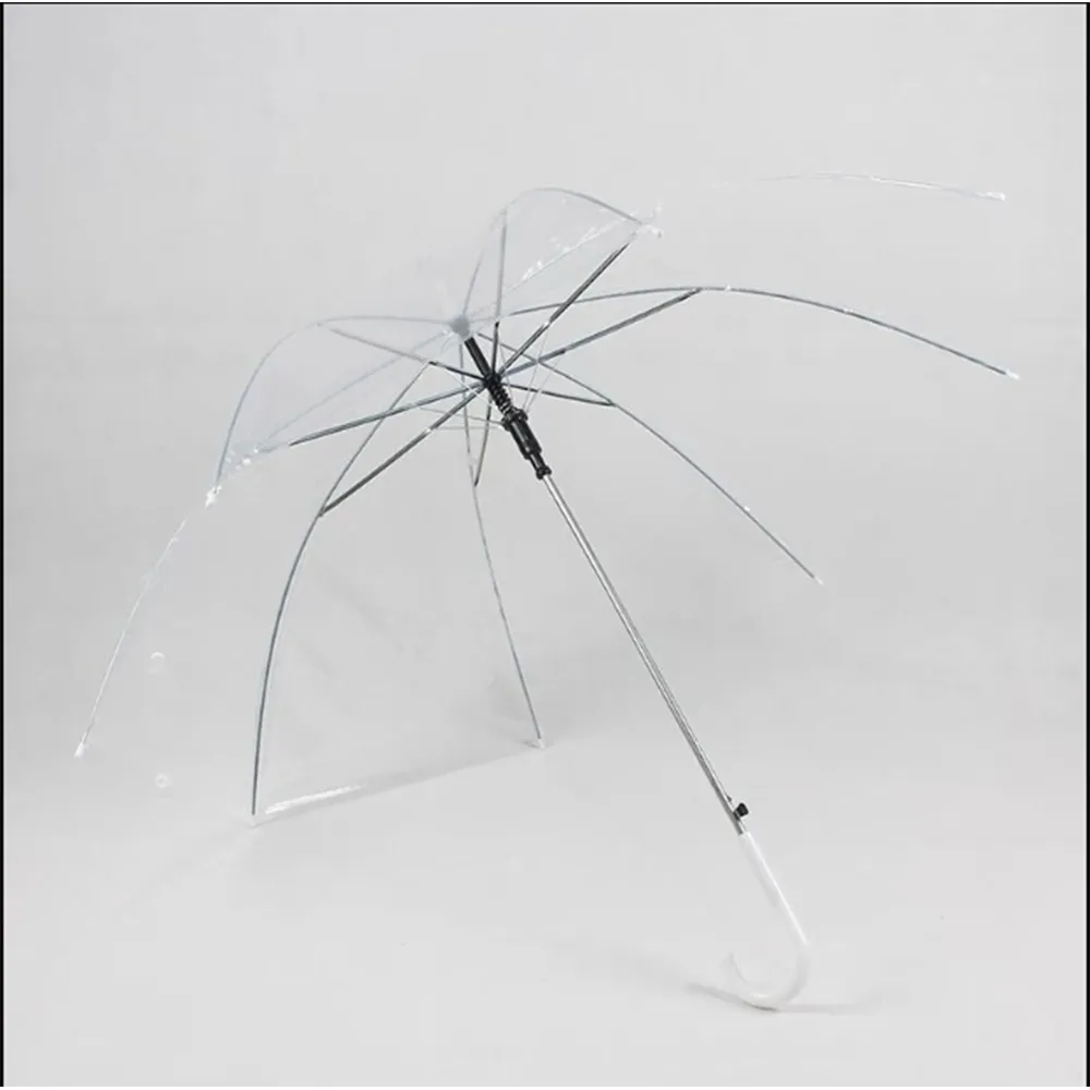 Transparent Umbrella