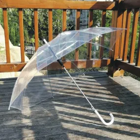 Transparent Umbrella