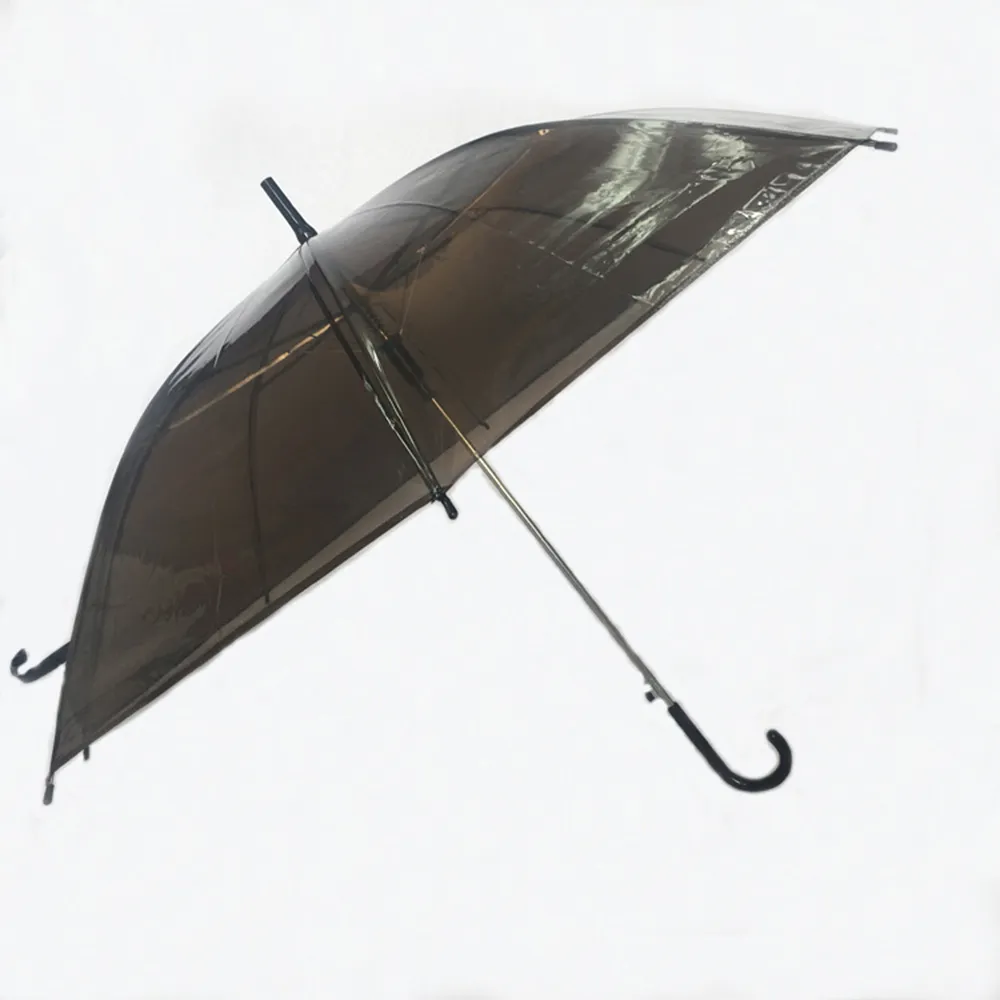 Transparent Umbrella
