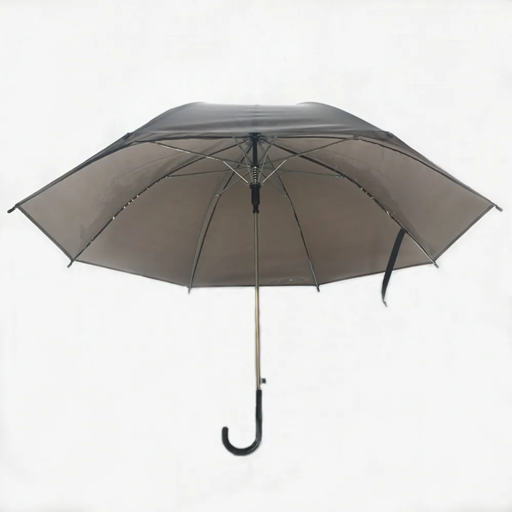 Transparent Umbrella